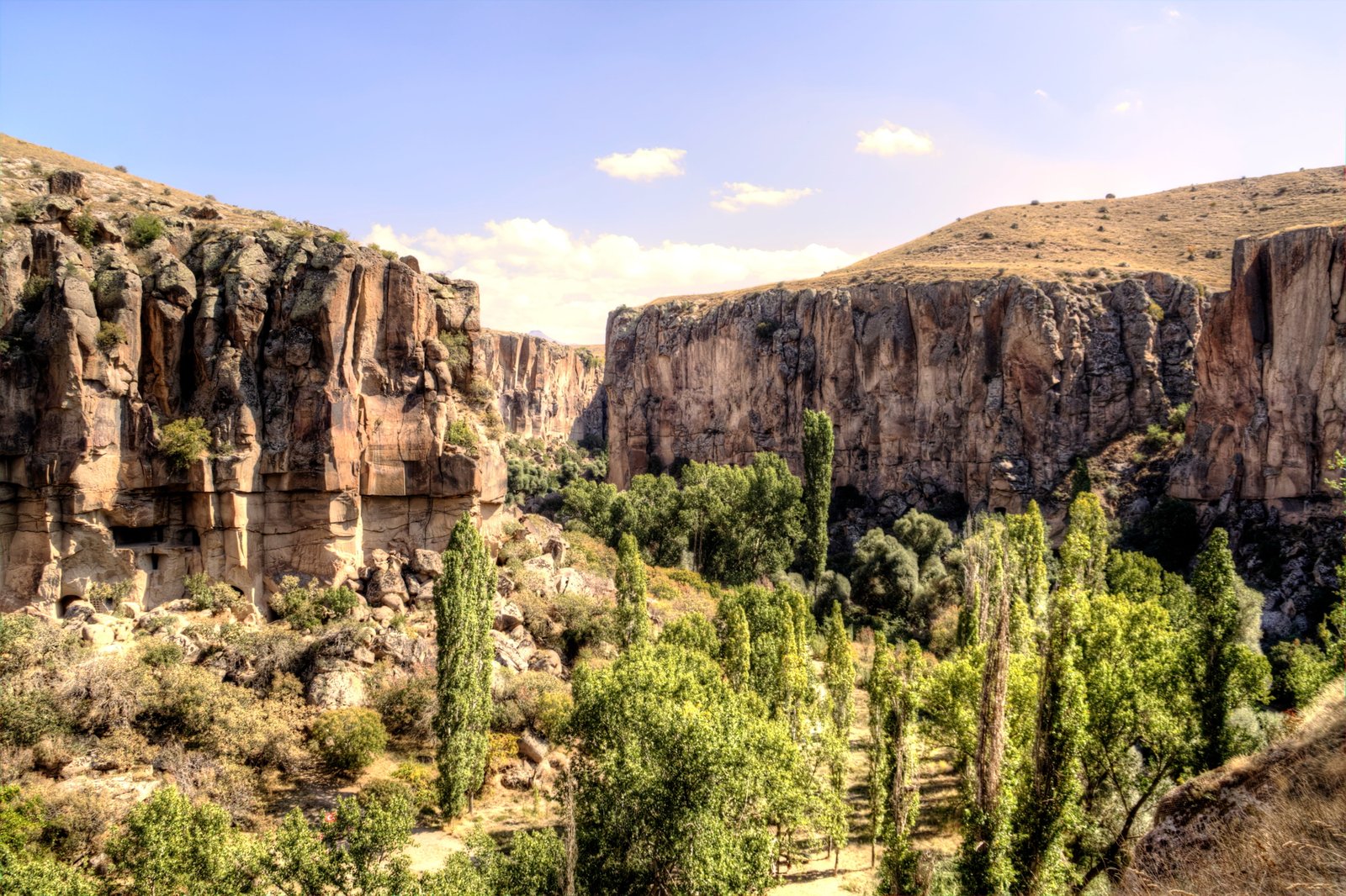 Contact Us Thumbnail