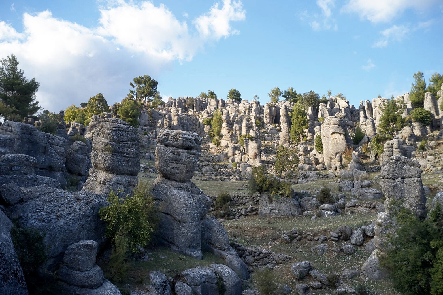 Deli Sarnıç Thumbnail