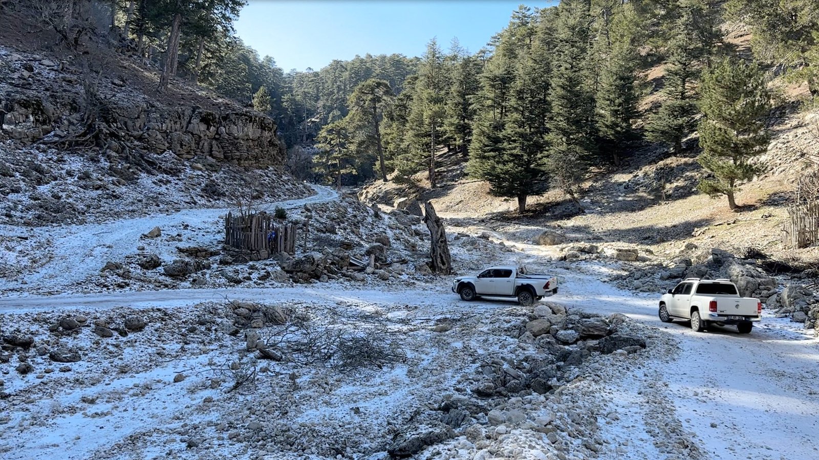 Hoarfrost in the mountains